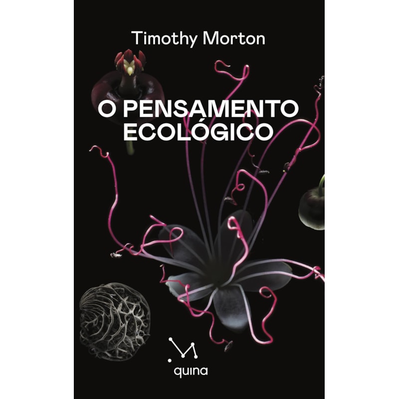 O PENSAMENTO ECOLÓGICO