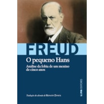 O pequeno Hans: analise da fobia de um menino de 5 anos