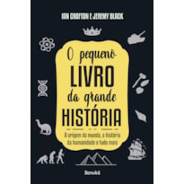 O PEQUENO LIVRO DA GRANDE HISTÓRIA: A ORIGEM DO MUNDO, A HISTÓRIA DA HUMANIDADE E TUDO MAIS