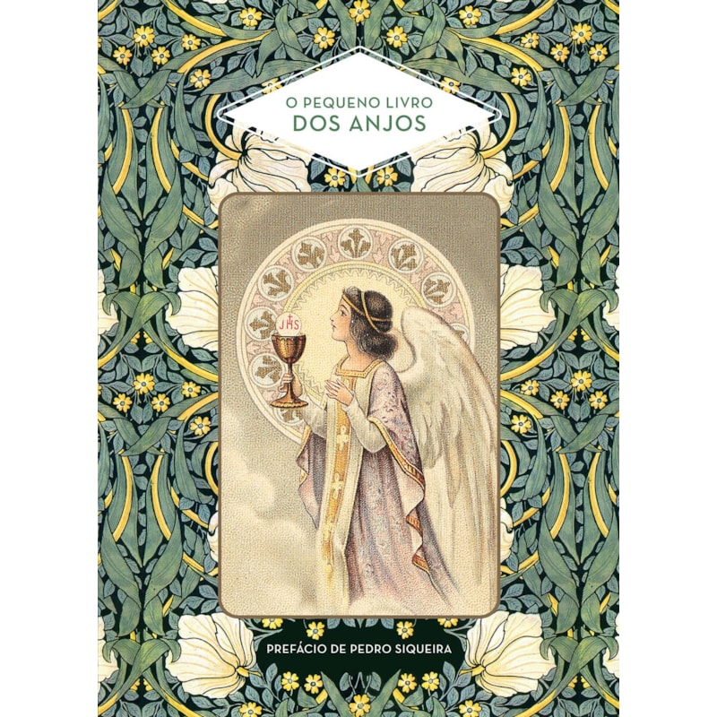 O PEQUENO LIVRO DOS ANJOS