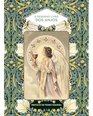 O PEQUENO LIVRO DOS ANJOS