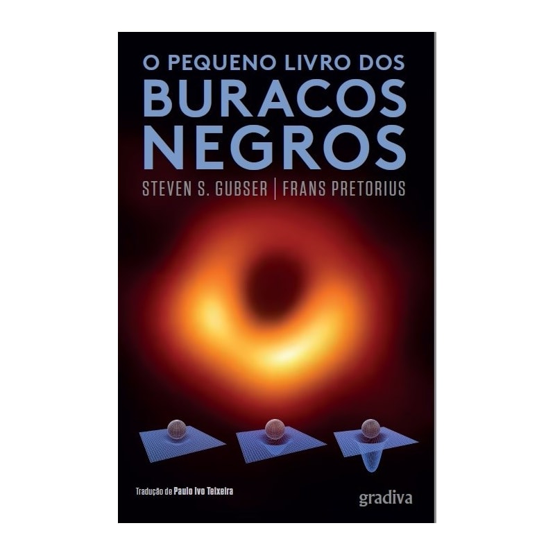 O PEQUENO LIVRO DOS BURACOS NEGROS