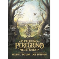 O PEQUENO PEREGRINO ILUSTRADO - EDIÇÃO DE LUXO COM CAPA DURA