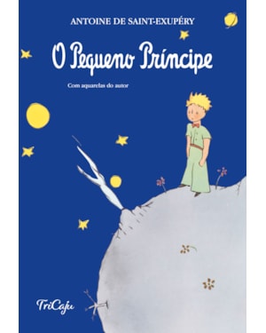 O PEQUENO PRÍNCIPE