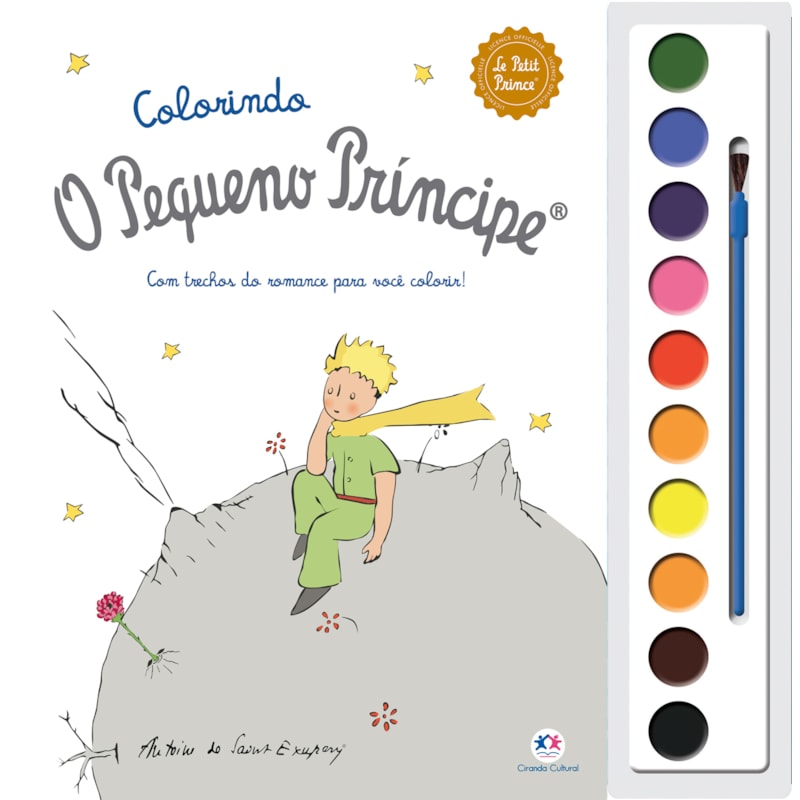 O PEQUENO PRÍNCIPE - CORES E AMIZADE