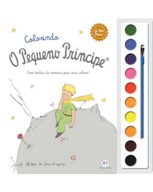 O PEQUENO PRÍNCIPE - CORES E AMIZADE
