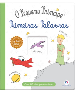 O PEQUENO PRÍNCIPE - PRIMEIRAS PALAVRAS