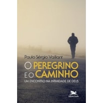 O PEREGRINO E O CAMINHO: UM ENCONTRO NA INTIMIDADE DE DEUS