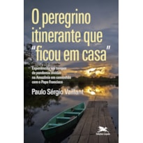 O PEREGRINO ITINERANTE "QUE FICOU EM CASA"