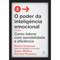 O PODER DA INTELIGÊNCIA EMOCIONAL: COMO LIDERAR COM SENSIBILIDADE E EFICIÊNCIA