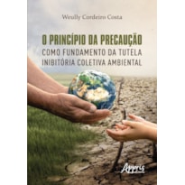 O PRINCÍPIO DA PRECAUÇÃO COMO FUNDAMENTO DA TUTELA INIBITÓRIA COLETIVA AMBIENTAL