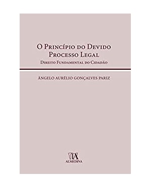 O princípio do devido processo legal : direito fundamental do cidadão