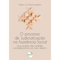 O PROCESSO DE JUDICIALIZAÇÃO NA ASSISTÊNCIA SOCIAL: UMA ANÁLISE DAS MEDIDAS SOCIOEDUCATIVAS EM MEIO ABERTO