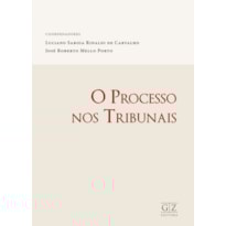 O PROCESSO NOS TRIBUNAIS