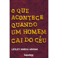 O QUE ACONTECE QUANDO UM HOMEM CAI DO CÉU