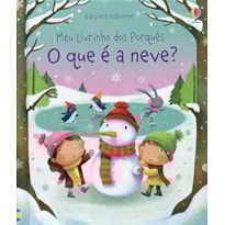 O QUE É A NEVE?: MEU LIVRINHO DOS PORQUÊS