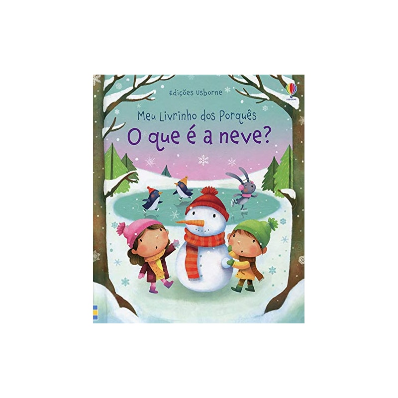 O QUE É A NEVE?: MEU LIVRINHO DOS PORQUÊS
