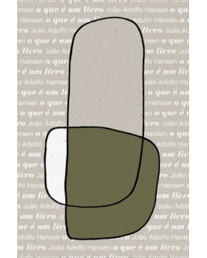 O QUE É UM LIVRO?