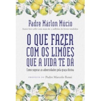 O QUE FAZER COM OS LIMÕES QUE A VIDA TE DÁ: COMO SUPERAR AS ADVERSIDADES PELA GRAÇA DIVINA