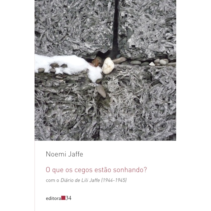 O que os cegos estão sonhando?: com o Diário de Lili Jaffe (1944-1945)