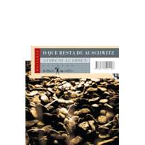 O que resta de Auschwitz: o arquivo e a testemunha