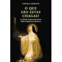 O QUE SÃO ESTAS CHAGAS?