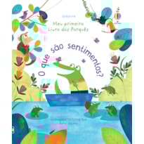 O QUE SÃO SENTIMENTOS?: MEU PRIMEIRO LIVRO DOS PORQUÊS