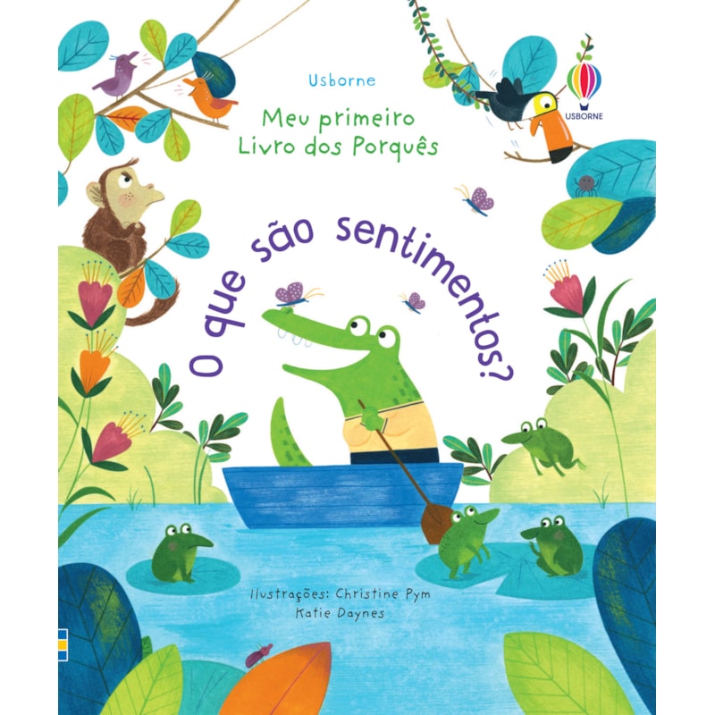 O QUE SÃO SENTIMENTOS?: MEU PRIMEIRO LIVRO DOS PORQUÊS