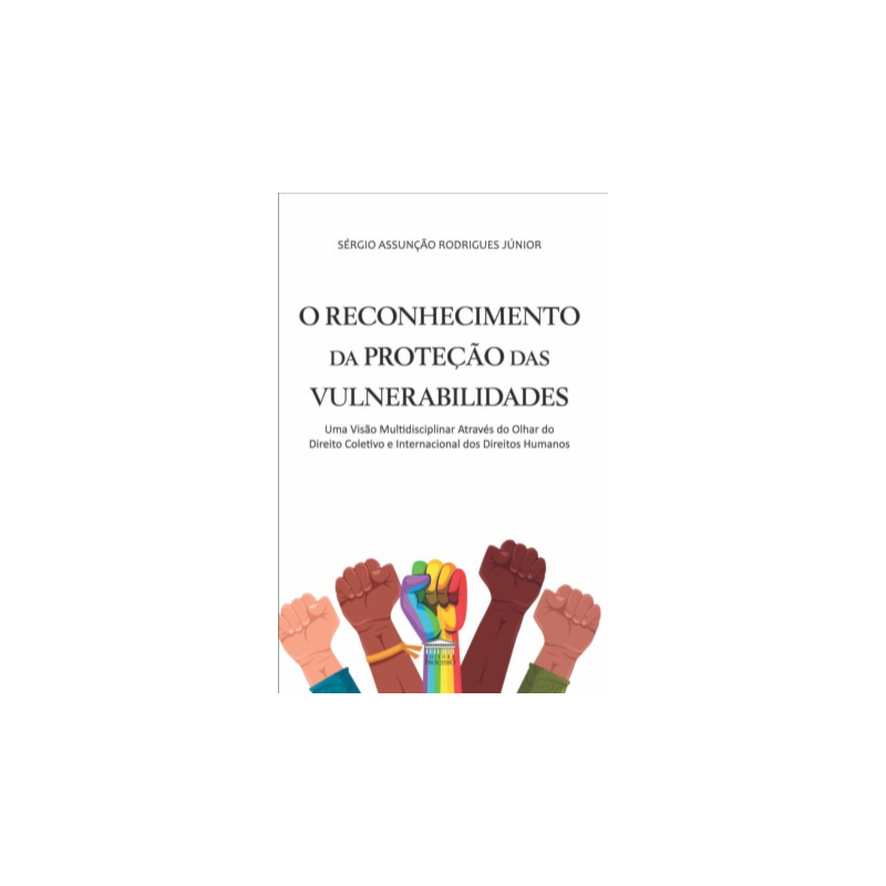 O reconhecimento da proteção das vulnerabilidades