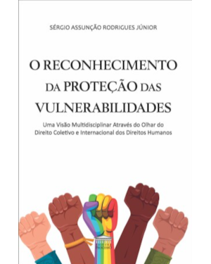 O reconhecimento da proteção das vulnerabilidades