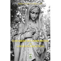 O SEGREDO DO AMOR DIVINO OU A PERFEITA RENÚNCIA
