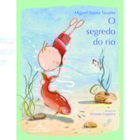 O SEGREDO DO RIO