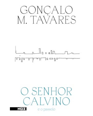 O SENHOR CALVINO: E O PASSEIO