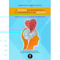 O SENTIDO DA MATEMÁTICA E A MATEMÁTICA DO SENTIDO: APROXIMAÇÕES COM O PROGRAMA ETNOMATEMÁTICA