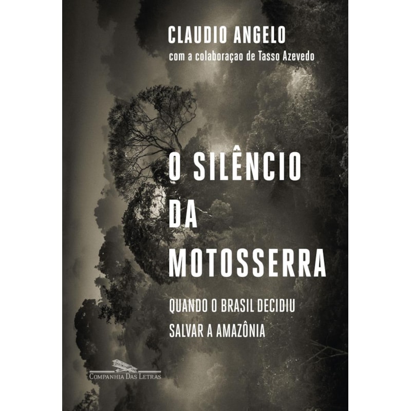 O SILÊNCIO DA MOTOSSERRA: QUANDO O BRASIL DECIDIU SALVAR A AMAZÔNIA