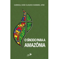 O Sínodo para a Amazônia