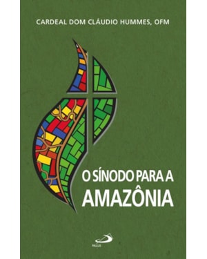 O Sínodo para a Amazônia