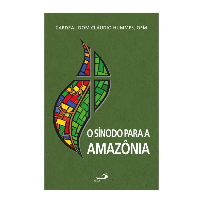 O Sínodo para a Amazônia