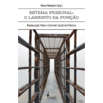 O sistema prisional: o labirinto da punição: reeducação falha e controle social da pobreza