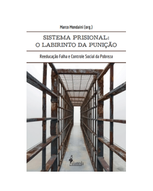 O sistema prisional: o labirinto da punição: reeducação falha e controle social da pobreza