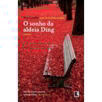 O SONHO DA ALDEIA DING
