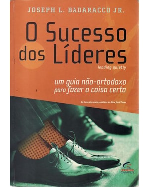 O SUCESSO DOS LIDERES - 1