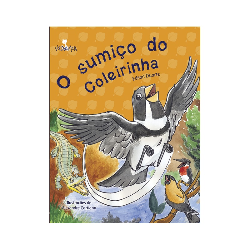 O SUMIÇO DO COLEIRINHA