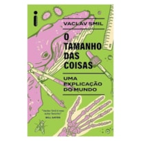 O TAMANHO DAS COISAS: UMA EXPLICAÇÃO DO MUNDO