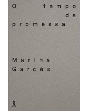 O TEMPO DA PROMESSA