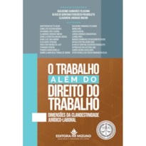 O TRABALHO ALÉM DO DIREITO DO TRABALHO DIMENSÕES DA CLANDESTINIDADE JURÍDICO-LABORAL