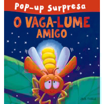 O VAGA-LUME AMIGO