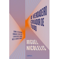 O VERDADEIRO CRIADOR DE TUDO: COMO O CÉREBRO HUMANO ESCULPIU O UNIVERSO COMO NÓS O CONHECEMOS