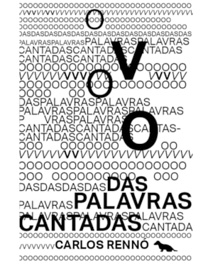 O VOO DAS PALAVRAS CANTADAS