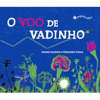 O VOO DE VADINHO